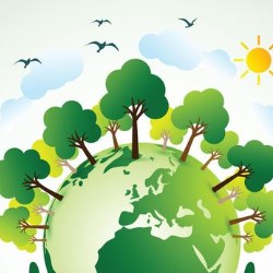 Hoffmann – environmentally aware and energy saving